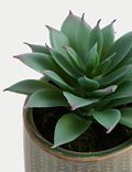 Artificial Mini Succulent in Ceramic Pot