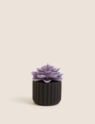 

Moss & Sweetpea Artificial Mini Succulent in Concrete Pot - Black, Black