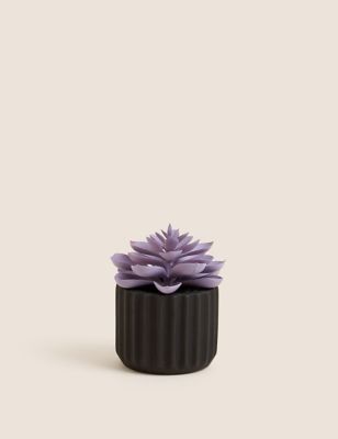Moss & Sweetpea Artificial Mini Succulent in Concrete Pot - Black, Black