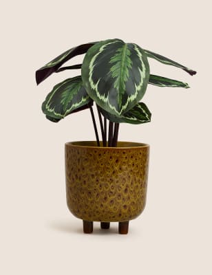 

M&S Collection Medium Reactive Glazed Planter - Ochre, Ochre