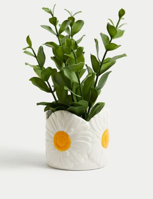 Ceramic Daisy Planter
