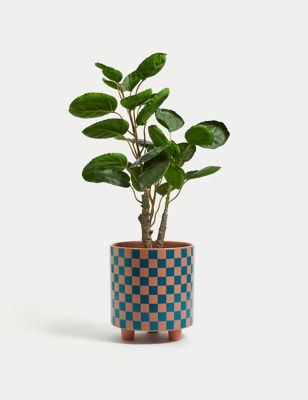 M&S Large Ceramic Chequerboard Planter - Terracotta, Terracotta