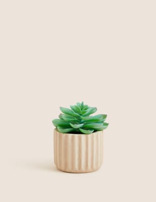 

Moss & Sweetpea Künstliche Mini-Echeveria-Sukkulente im Topf - Naturfarben, Naturfarben