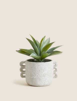 

Moss & Sweetpea Aloe vera artificial en maceta de hormigón - Mezcla De Tonos Blancos, Mezcla De Tonos Blancos