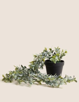 

Moss & Sweetpea Artificial Trailing Plant in Pot - Green, Green