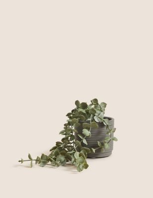 Moss & Sweetpea Artificial String of Hearts in Concrete Pot - Green, Green