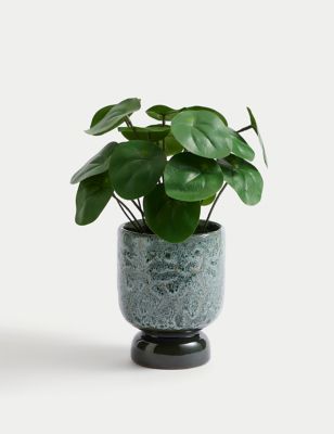 Artificial Chinese Money Plant in Ceramic Pot