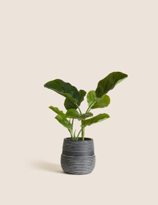 

Moss & Sweetpea Artificial Calathea Plant in Concrete Pot - Green, Green