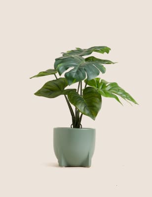 

Moss & Sweetpea Artificial Monstera Plant in Ceramic Pot - Green, Green