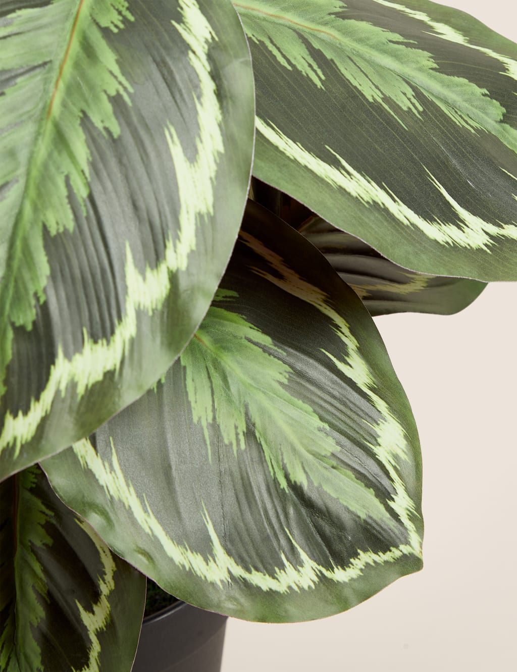 Artificial House Plants M&S