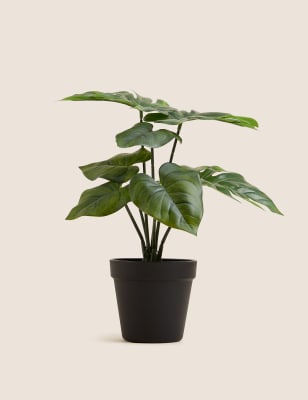 

Moss & Sweetpea Artificial Monstera Plant in Pot - Green, Green