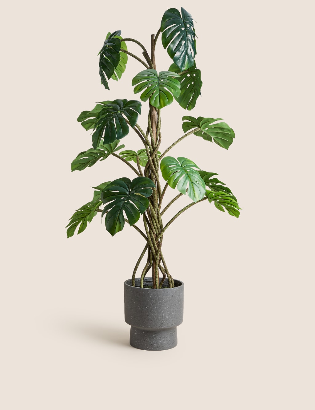 Artificial Cheese Plant in Concrete Pot