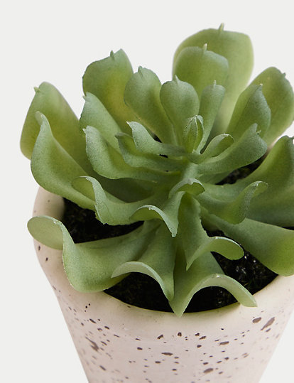 Artificial Succulent in Ceramic Pot