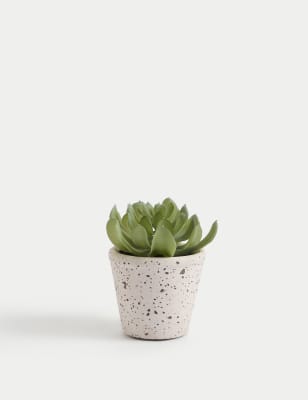 Artificial Succulent in Ceramic Pot