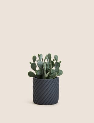 

Moss & Sweetpea Artificial Cactus Garden in Cement Pot - Grey, Grey