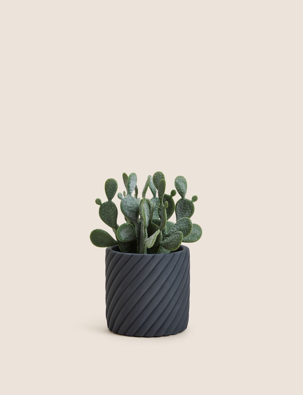 Artificial Cactus Garden in Cement Pot image 1