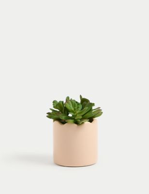Moss & Sweetpea Artificial Mini Succulent Plant in Pot - Pink, Pink