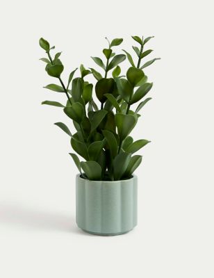 Moss & Sweetpea Artificial Green Plant in Ceramic Pot, Green
