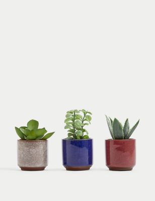 Moss & Sweetpea Set of 3 Artificial Mini Succulents in Pots - Green, Green