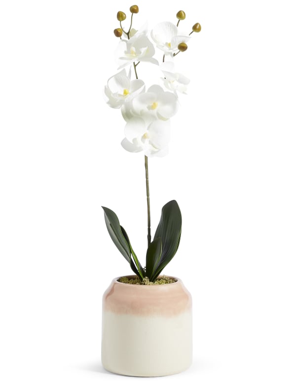 Marks And Spencer Artificial Flowers Uk Best Flower Site