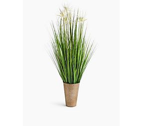 Tall Grass With White Flowers In Tin Pot