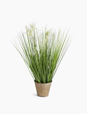 Fleurs blanches et herbes dispos&eacute;es dans un pot en m&eacute;tal