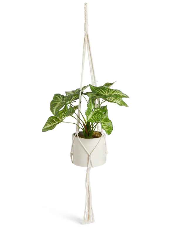 Hanging Lilypad Macrame Plant
