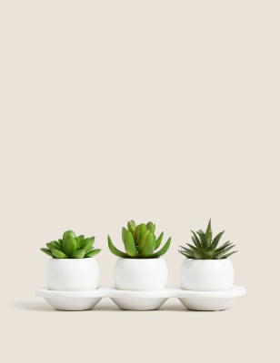 

Set of 3 Artificial Succulents - Green Mix, Green Mix