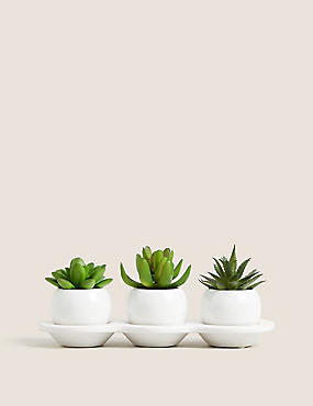 Set of 3 Artificial Succulents