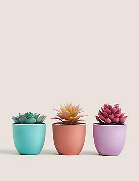 Set van 3 kleurige mini-kunstvetplanten