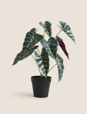 

Artificial Calathea Plant in Pot - Green Mix, Green Mix