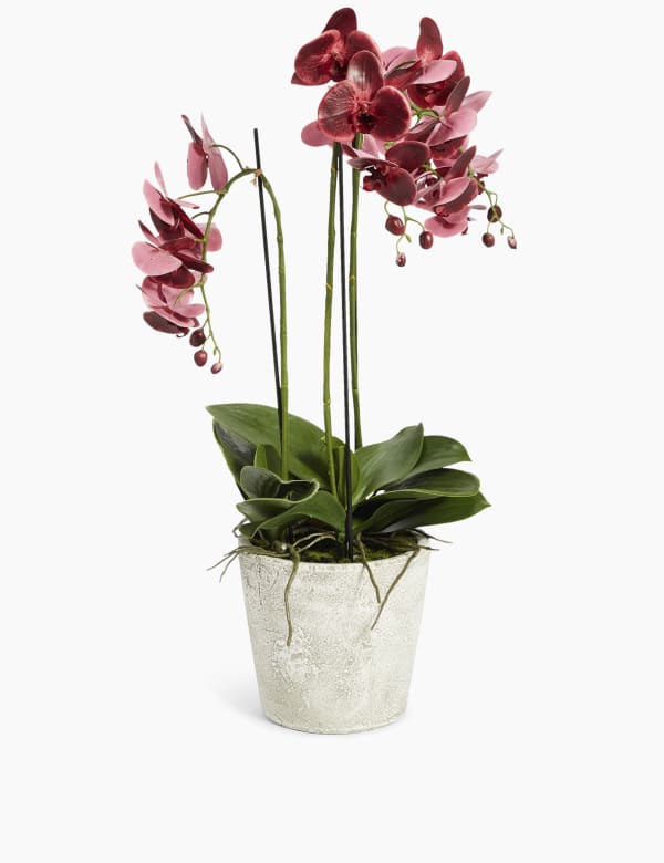 White Plant Pots Indoor Plant Pots M S Ie