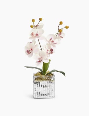 Orchid&eacute;e rose de taille moyenne, dispos&eacute;e dans un pot cubique