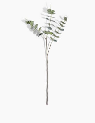 Eucalyptus floqu&eacute; &agrave; tige unique