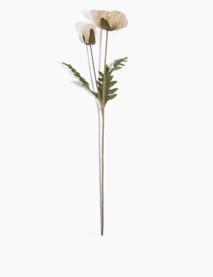 Coquelicot &agrave; tige unique