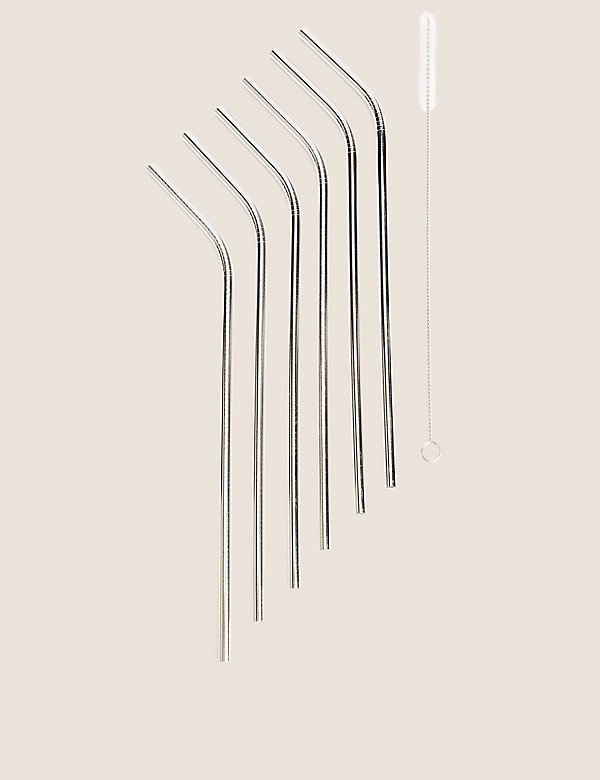 Set of 6 Reusable Straws with Brush - SG