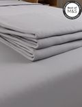 Egyptian Cotton 230 Thread Count Flat Sheet