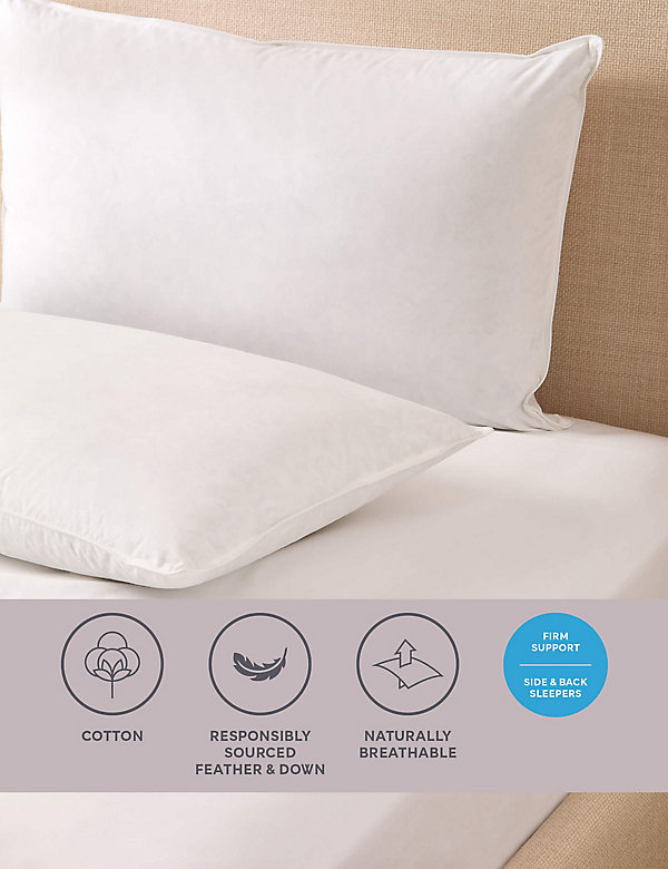 2pk Goose Feather & Down Firm Pillows - HK