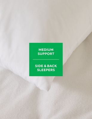 2pk Natural Anti Allergy Plus Medium Pillows