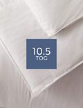 Hotel Soft Cotton 10.5 Tog Duvet