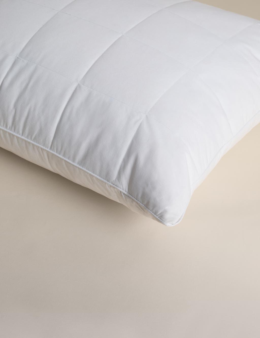 Pillows Synthetic, Goose Down & Feather Pillows M&S