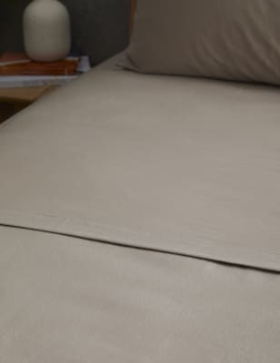 

Brushed Cotton Flat Sheet - Biscuit, Biscuit