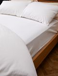 Pure Brushed Cotton Fitted Sheet