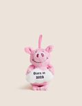 Percy Pig™ Born In 2023 Decoration