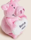 Percy Pig™ Born In 2023 Decoration