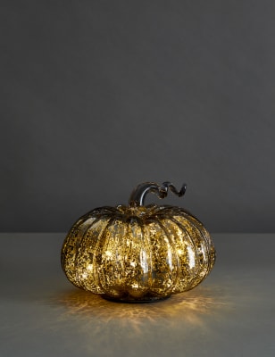 

M&S Collection Small Glass Light Up Pumpkin Decoration - Charcoal, Charcoal