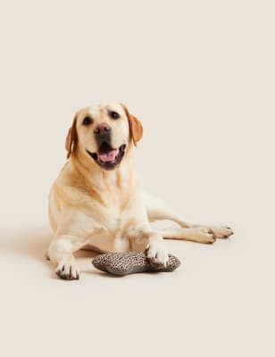 

Pet Bone Toy - Multi, Multi