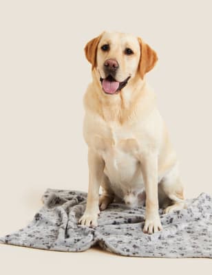 

Paw Pattern Pet Blanket - Grey Mix, Grey Mix