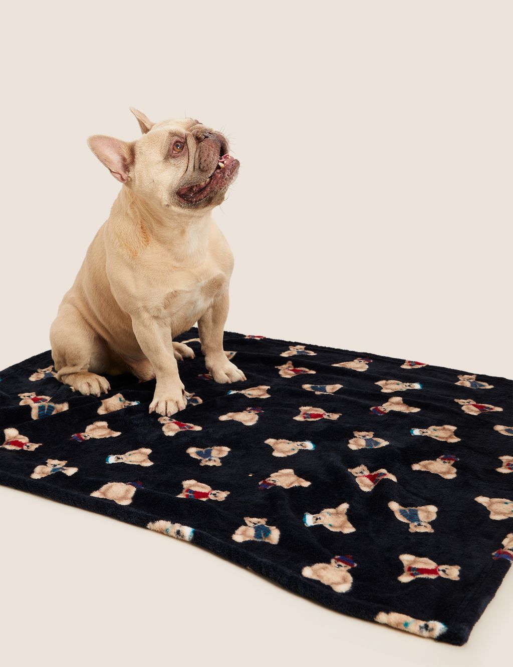 Spencer Bear™ Pet Blanket