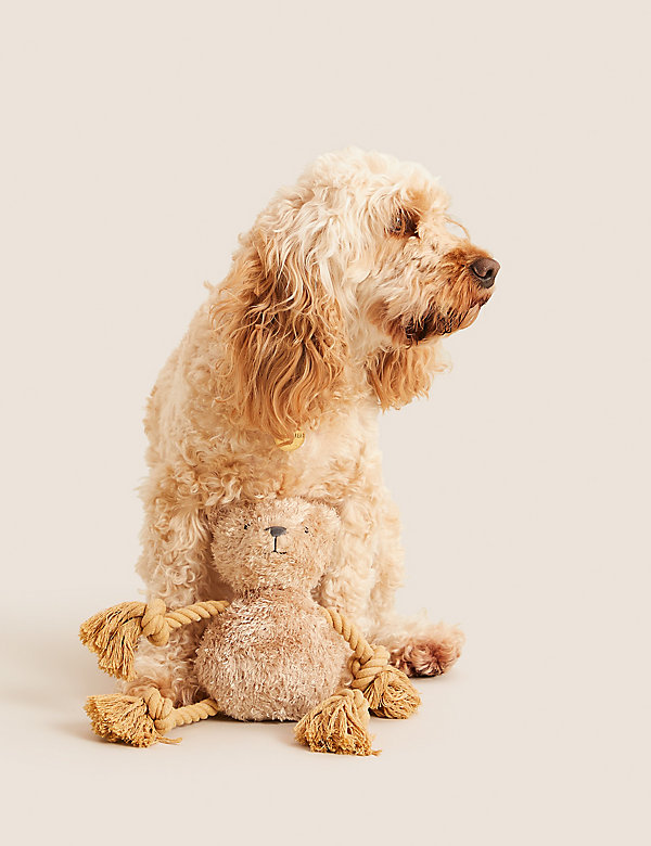 Spencer Bear™ Rope Pet Toy  - MY